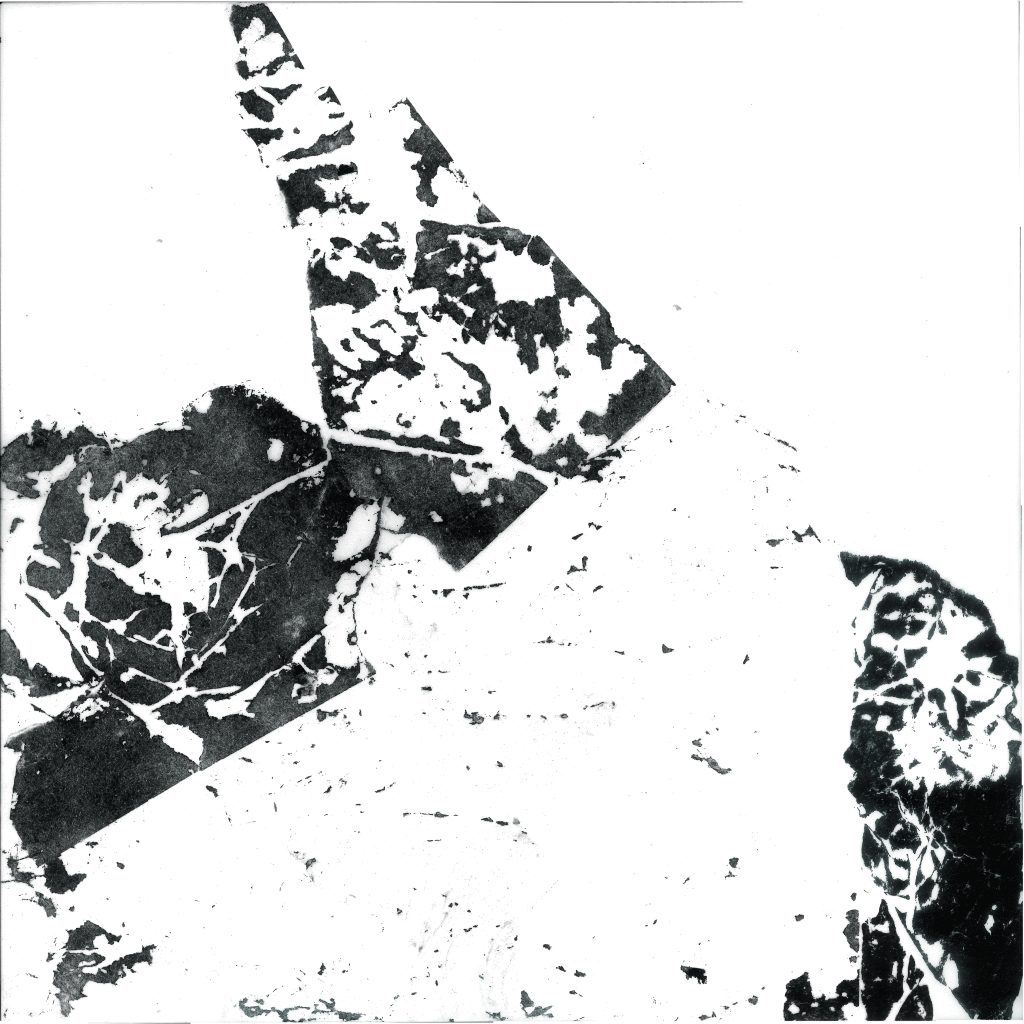 Impressions #11. Image transfer on Mylar.